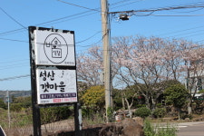 성산갯마을식당 성산일출봉점