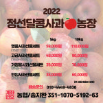 정선달콤사과농장