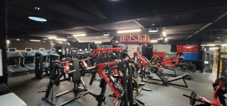 팝스GYM