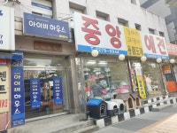 중앙애견