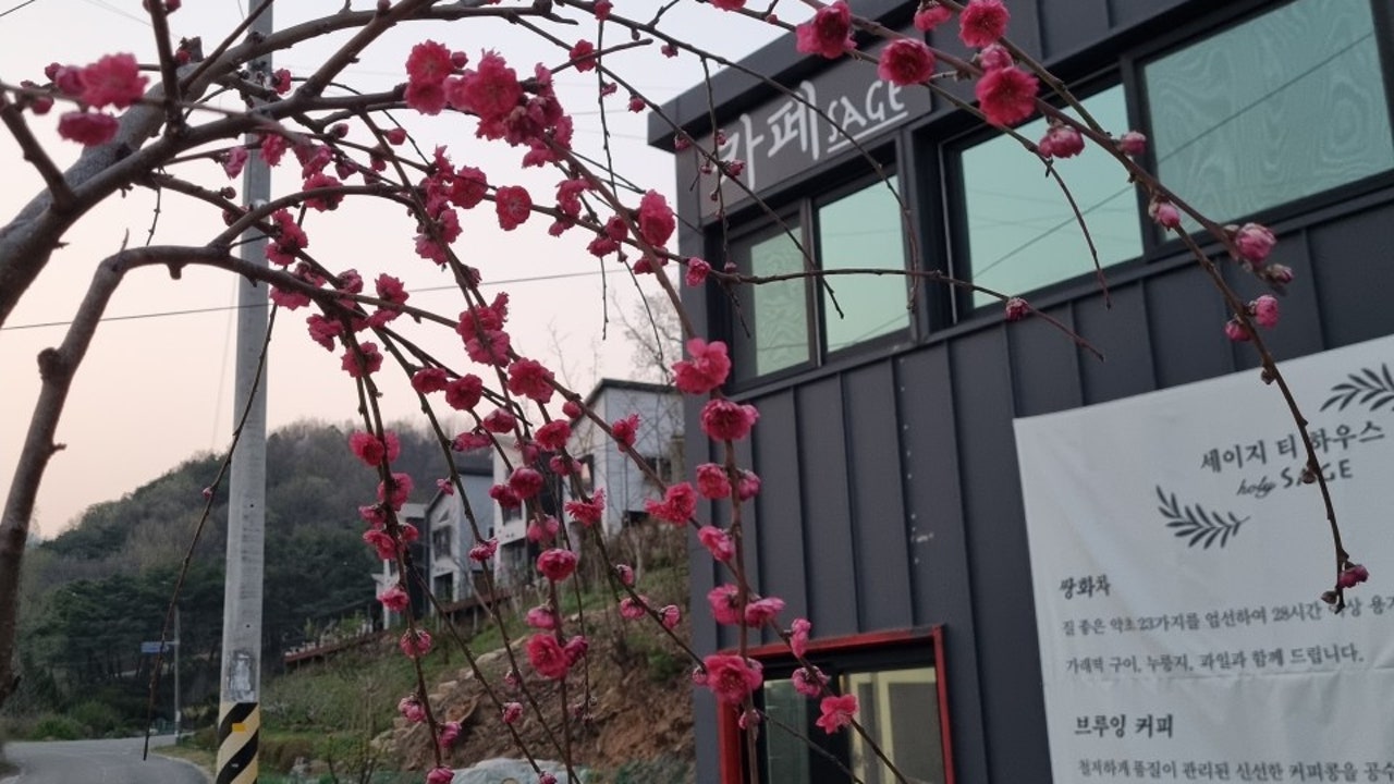 카페세이지