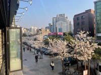 김명후다이어트복싱클럽