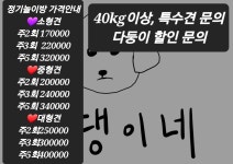큰댕이네