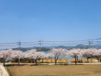 루나키즈풀빌라