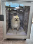 개신나멍