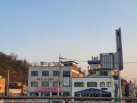 맘인더가든
