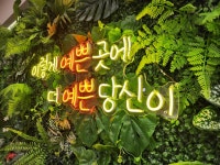 은사즉석떡볶이 호원점
