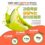 하이멜론농장