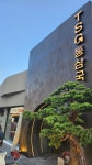 TSG통삼국 나무그늘