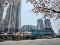 기흥역골드공인중개사사무소