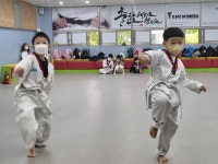 충효태권도합기도 탄방관