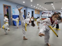 충효태권도합기도 탄방관