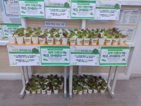 눈높이러닝센터 본오학원
