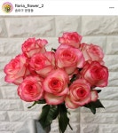 플로리아