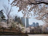 기흥역골드공인중개사사무소