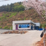 베리드림블루베리농장@카페