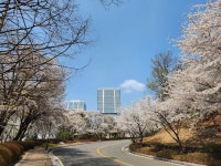 기흥역골드공인중개사사무소