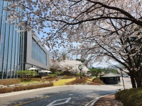 기흥역골드공인중개사사무소