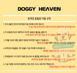 도기헤븐