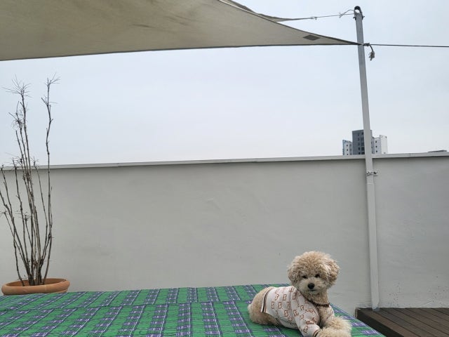 der park 802