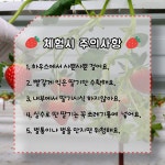 두드림딸기