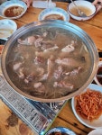 산골기러기