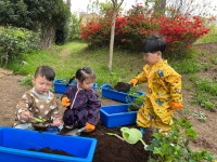 꼬마별어린이집