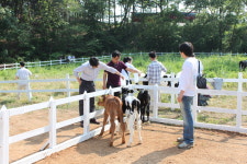 신하늘영농조합법인