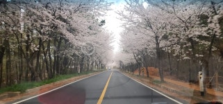 태안운수