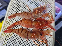 섬하나수산