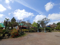 솔바람풍경소리