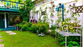 오색로뎀나무아래