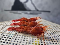 섬하나수산