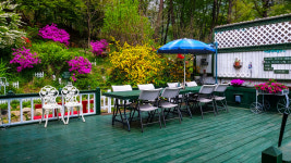 오색로뎀나무아래