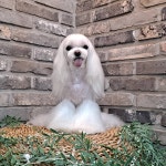 꼬멍쓰멍