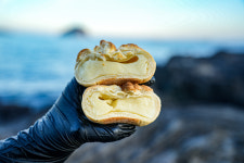 제성제과 올레시장점