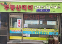 밤섬리더부동산공인중개사사무소
