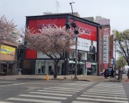 STCO 부천상설점