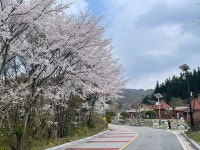 장수도깨비한옥&글램핑