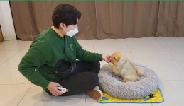 나인페츠 건대점