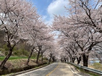 장수도깨비한옥&글램핑