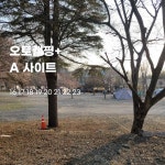 드림랜드오토캠핑장