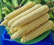 신바람난찐빵만두