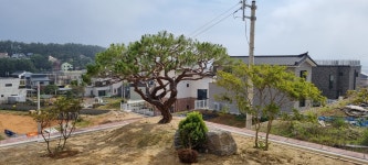 이한조경