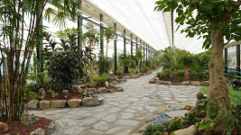 청화산한옥풀빌라