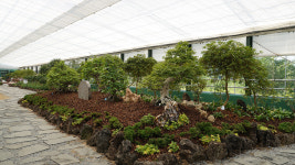 청화산한옥풀빌라