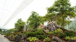 청화산한옥풀빌라