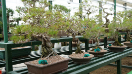 청화산한옥풀빌라