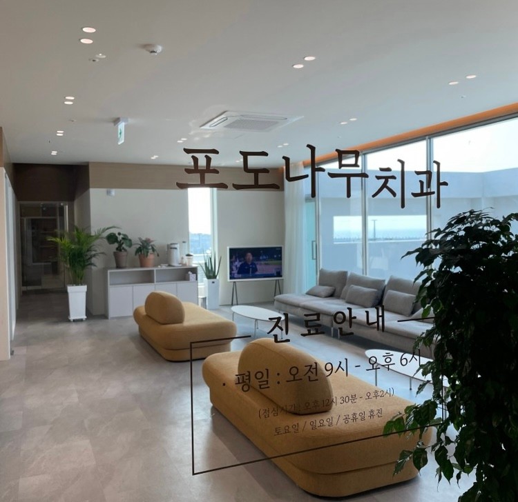 포도나무치과의원