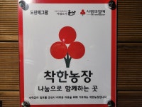 도란에그팜
